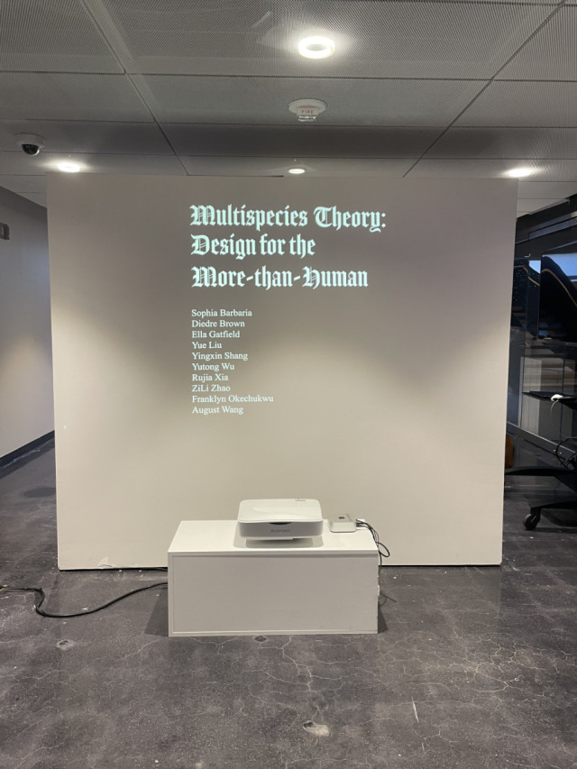 Multi-species Theory: Design for the More-than-Human