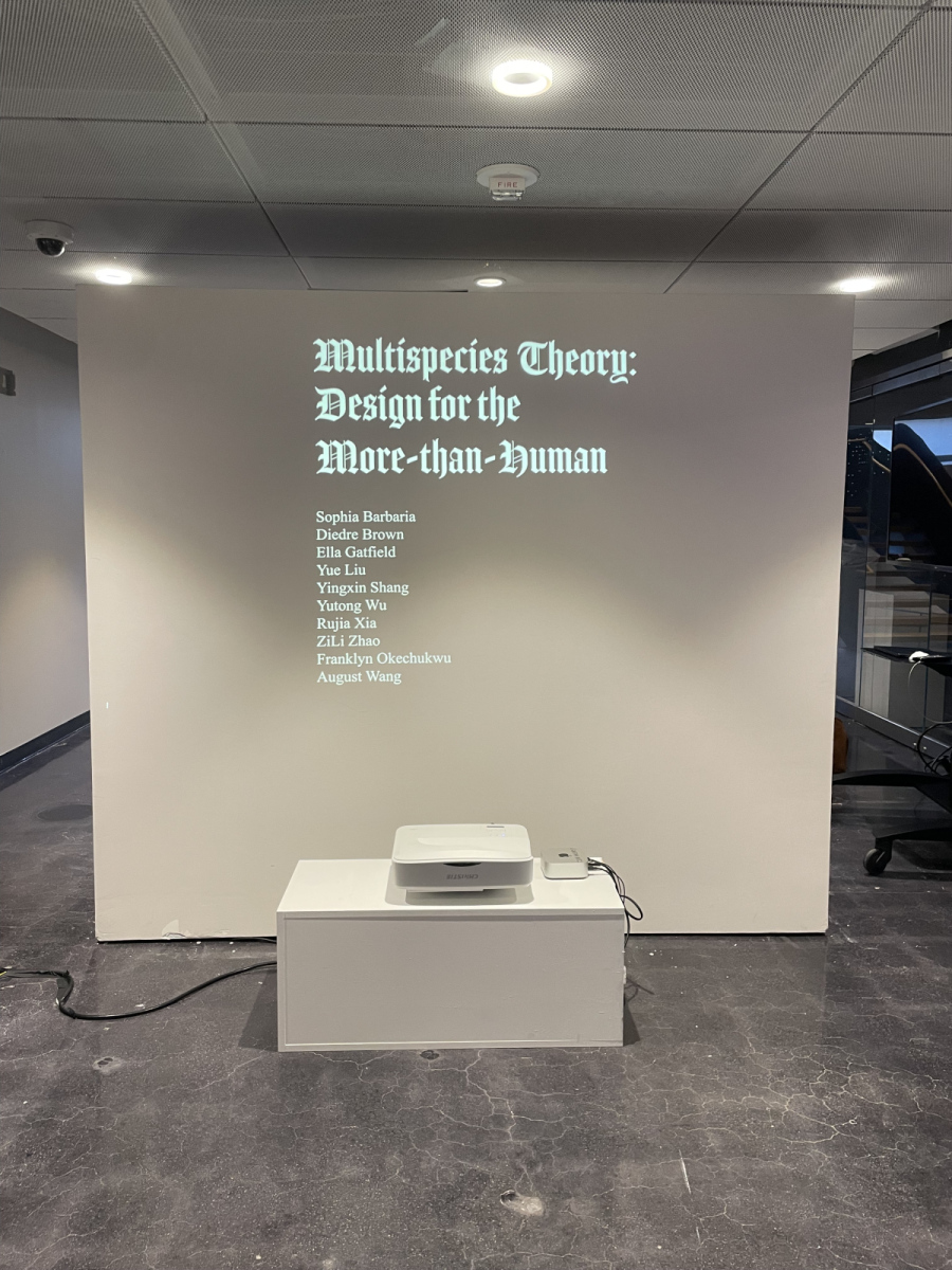 Multi-species Theory: Design for the More-than-Human