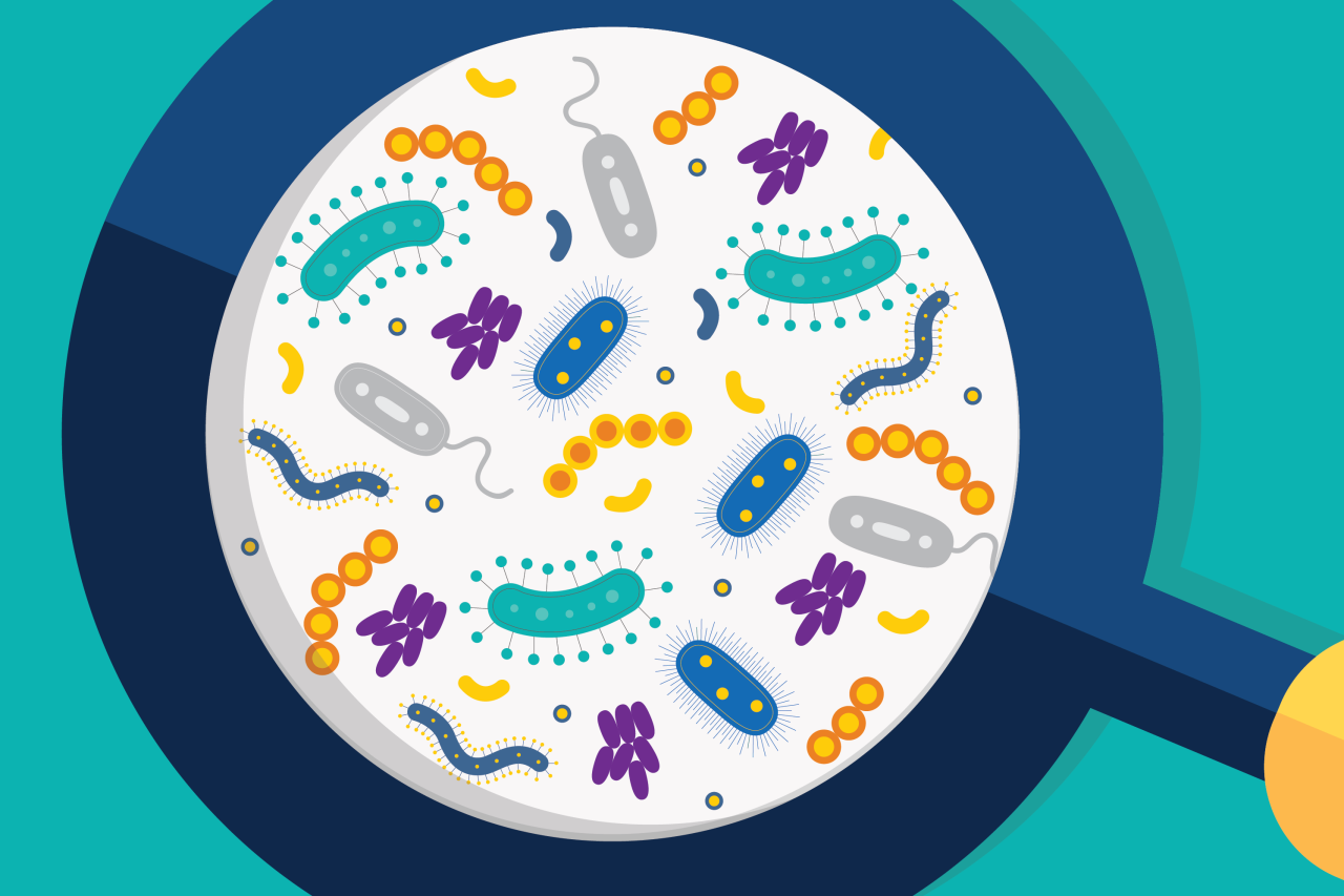 Flooding and the Urban Microbiome