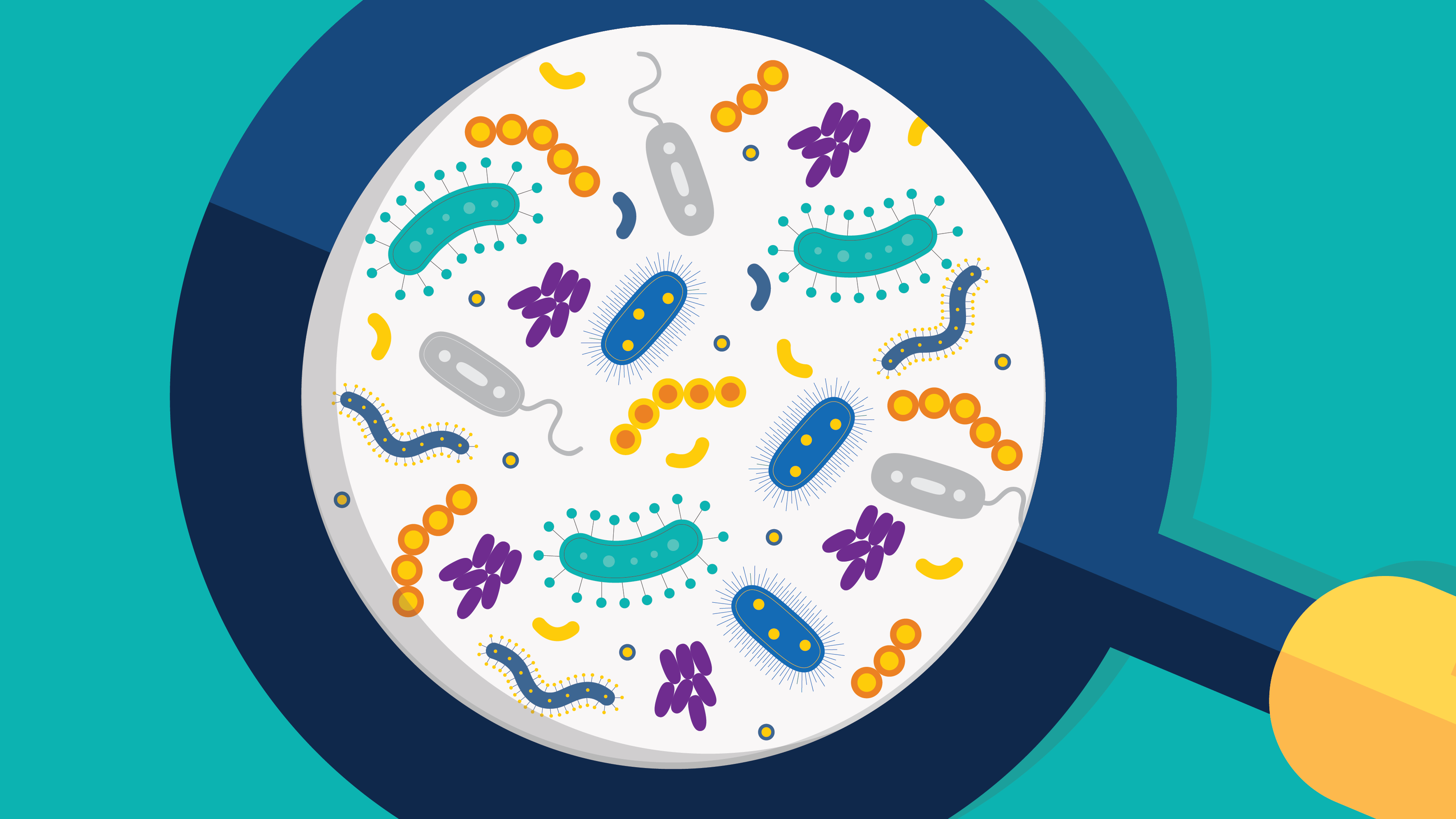 Flooding and the Urban Microbiome