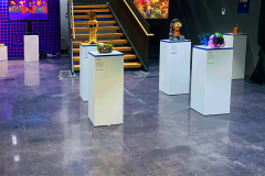 06_IDMShow_Installation02